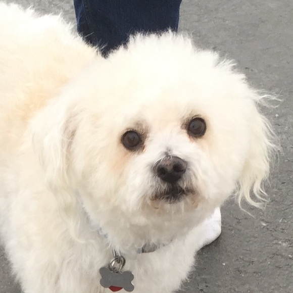 Meet your Posher, Niamh - Picture 1 of 1